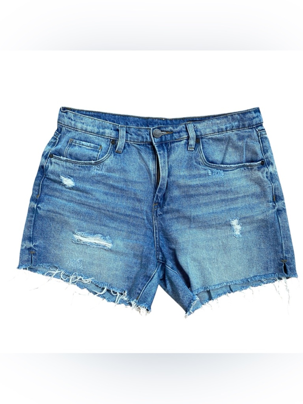 BlankNYC Bahama Mama Denim Distressed Shorts